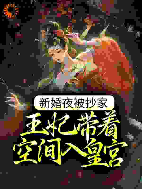 新婚夜被抄家，王妃带着空间入皇宫