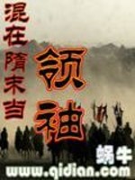 三国志新传